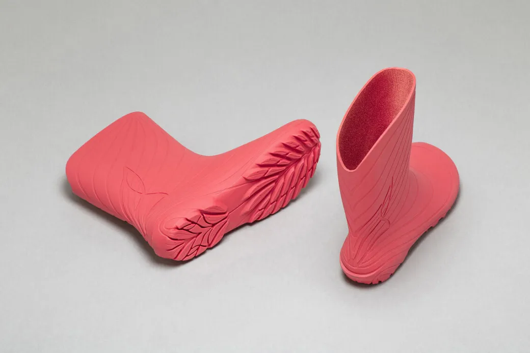 Wildling Shoes Ranidae