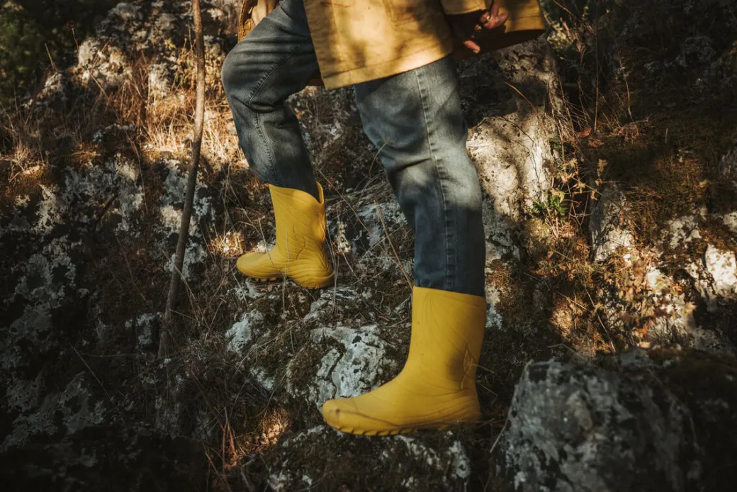 Wildling Shoes Ranidae