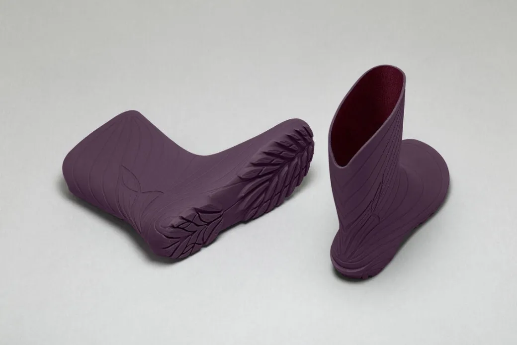 Wildling Shoes Ranidae